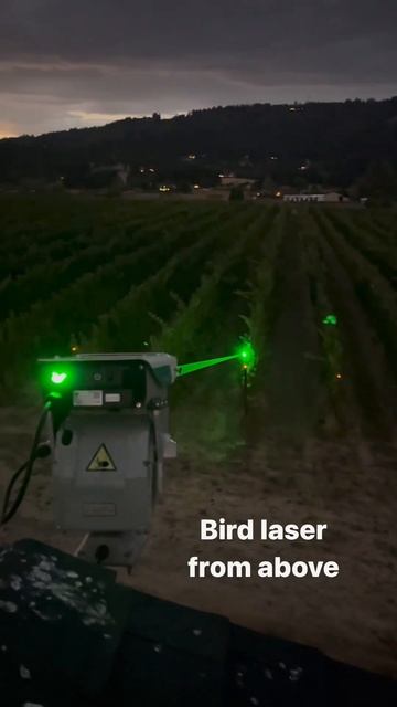 Лазерное пугало, которое не подпустит ни одну птицу к вашему участку.