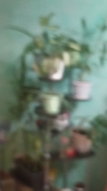 Обзор моей квартиры и всего от 27 декабря смотреть онлайн