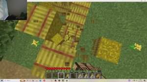 Играю в Minecraft без биомов