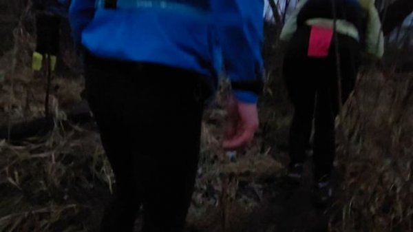 Трейл 2025-12-21. Mad Fox 2025