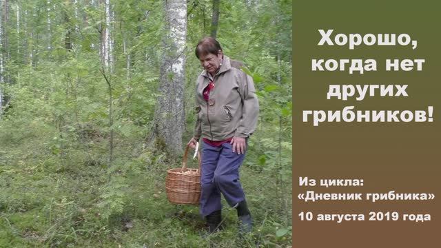Хорошо, когда нет других грибников! Дневник грибника 10 августа 2019 года. смотреть онлайн