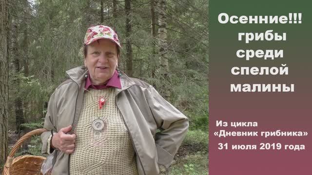 Осенние!!! грибы среди спелой малины. Дневник грибника 31 июля 2019 года. смотреть онлайн