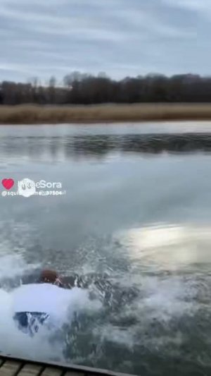 жёсткий тоха