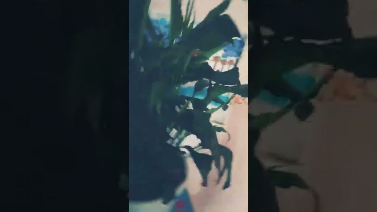 2 апреля 2022 г. смотреть онлайн