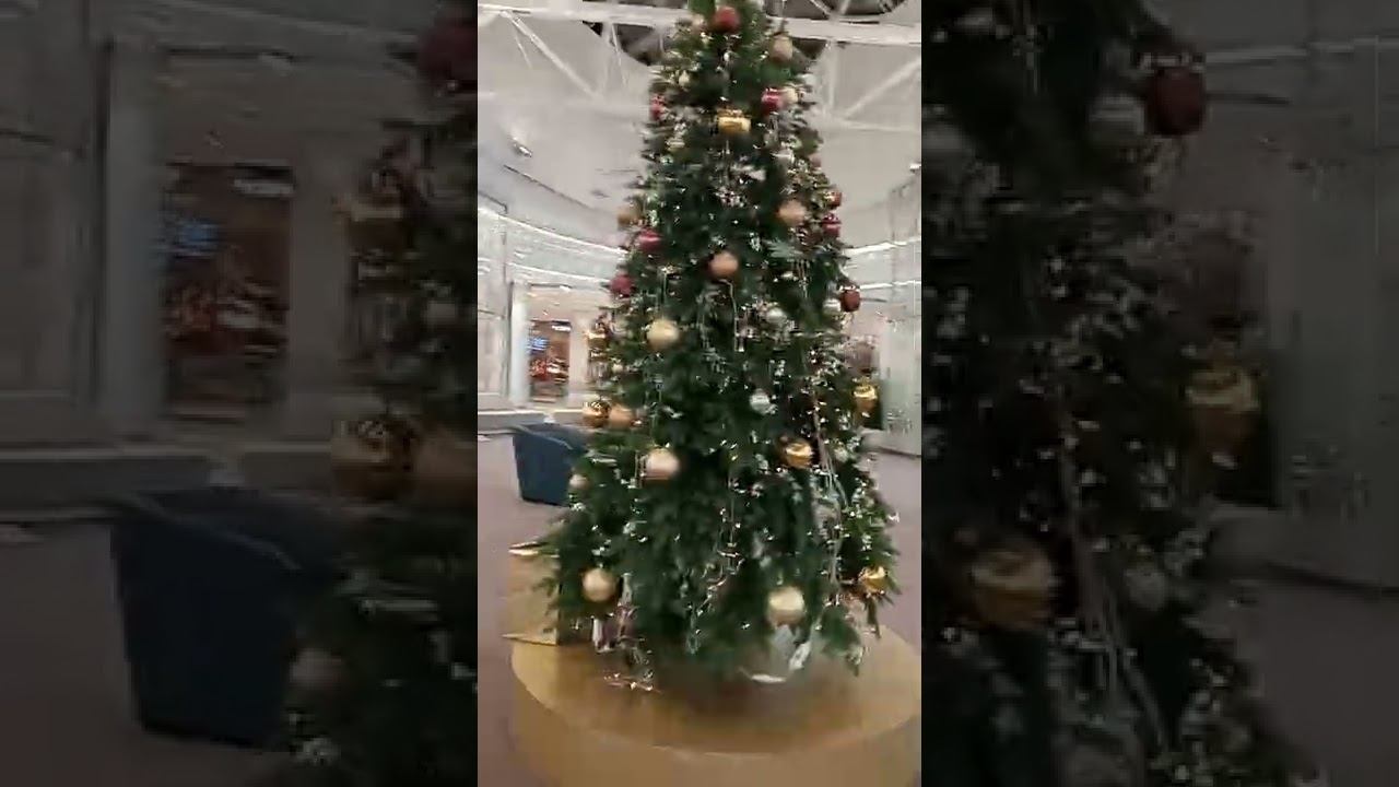 18 мая 2022 г. смотреть онлайн