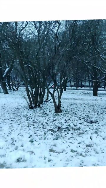 С новым 2026 годом!!!😁