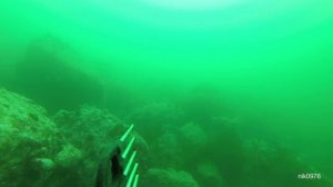 Один хороший день