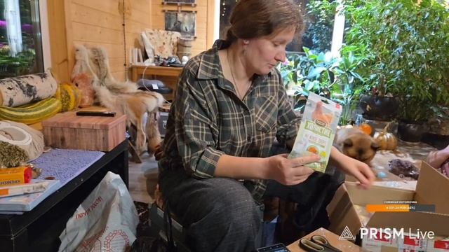 Новогодний стрим, часть 1. С распаковкой подарков от подписчиков. Запись с ютуба от 31.12.25 смотреть онлайн