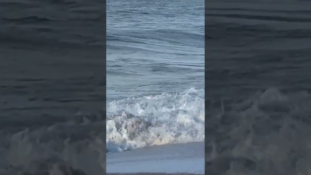 2025_12_31_18_17_IMG_5155