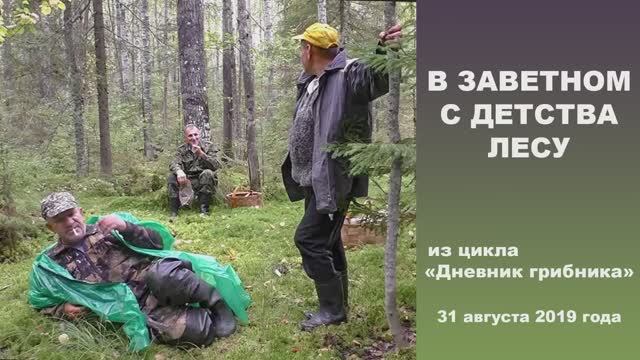 В заветном с детства лесу. Дневник грибника 31 августа 2019 года! смотреть онлайн