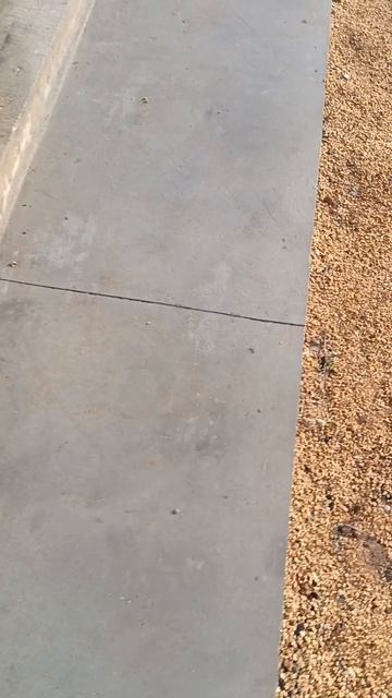 Отмостка в деле💪