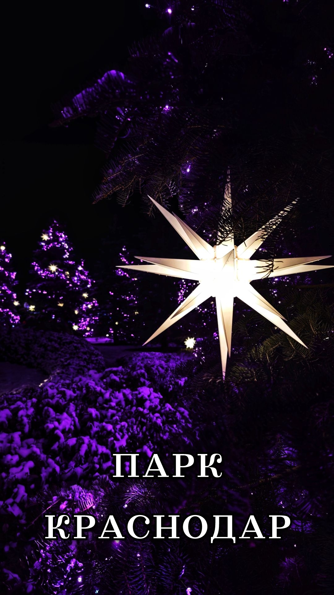 Парк Краснодар Галицкого 1 января 2026 смотреть онлайн