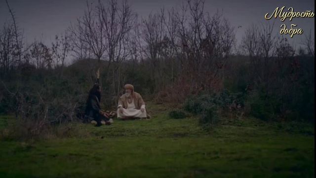 Всё на земле работает чтобы создать условия для жизни человека! смотреть онлайн