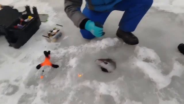 01.01.26 г. С новым годом! смотреть онлайн