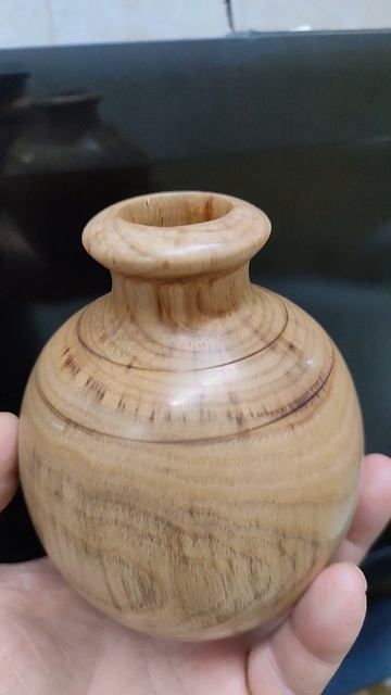 Кубышка из камфорного лавра или арибаллос. смотреть онлайн