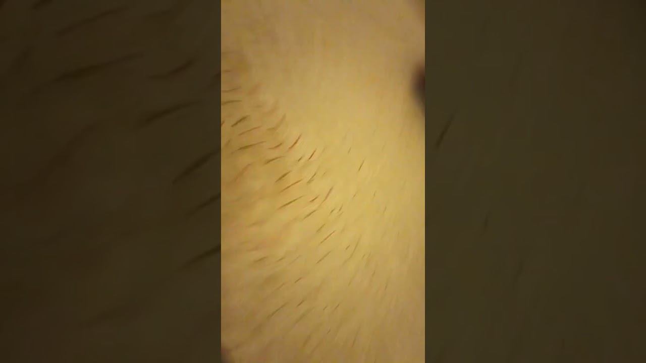 25 сентября 2022 г. смотреть онлайн