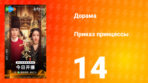 Приказ принцессы 14 серия