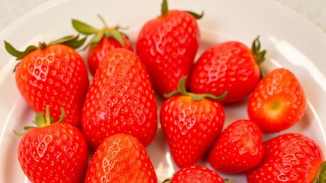 Клубника. Сорта засорители. смотреть онлайн