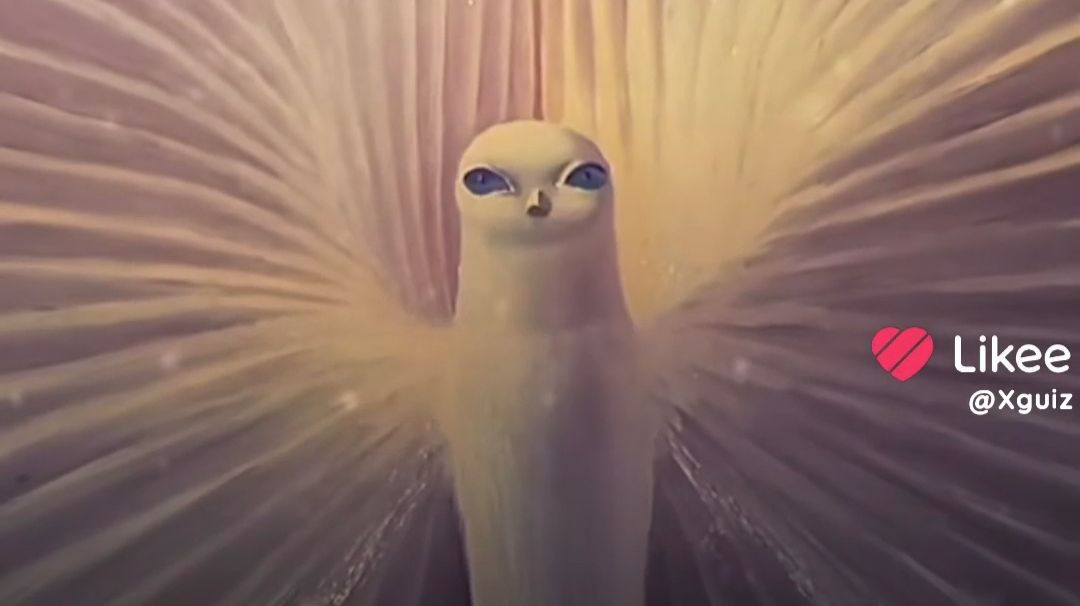 С автором так было._.