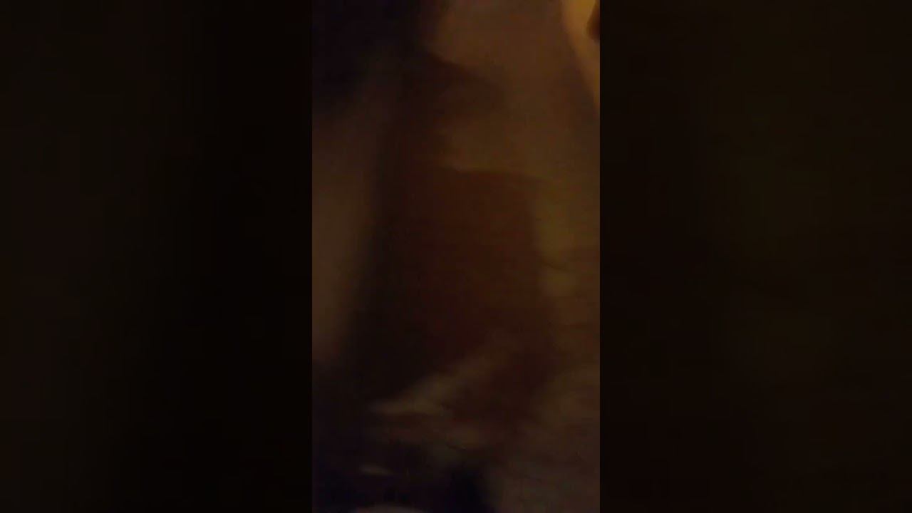 24 сентября 2022 г. смотреть онлайн