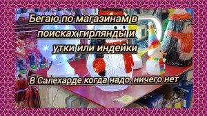 Все есть,когда не надо. Новый год 🎄 под срывом:в поисках гирлянды и индейки обегала пол Салехарда