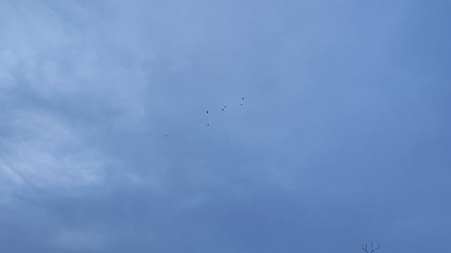 31.12.2025г Всех с Наступающим Новым годом!!! смотреть онлайн