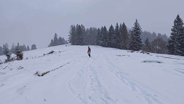 4k - Slovensko - Silvestrovský výstup na Javorový vrch 2025 смотреть онлайн