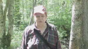 Первые лисички 2016 года.