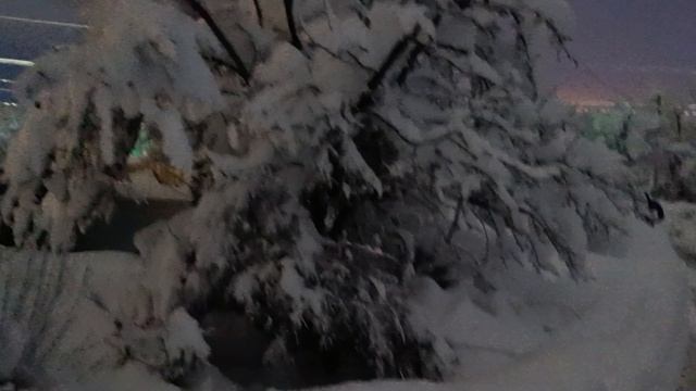 1000006637.mp4 смотреть онлайн