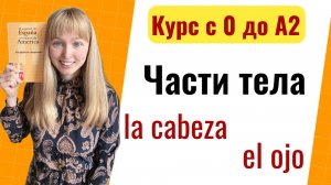 Урок 18.Части Тела на Испанском. Курс с 0 до А2.