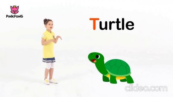 1.1 - ABC - Energizer STI