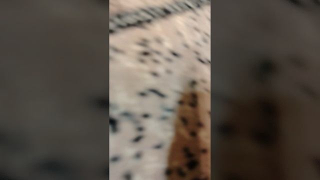 1000000212 смотреть онлайн