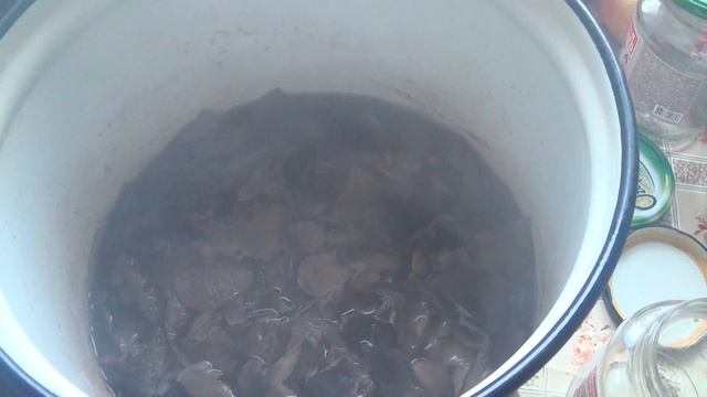 Маринованные рядовки. смотреть онлайн