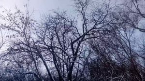 Ченнелинг ,Что меня ждёт в 2026 году