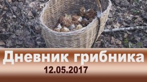 Дневник грибника 12 мая 2017 года.