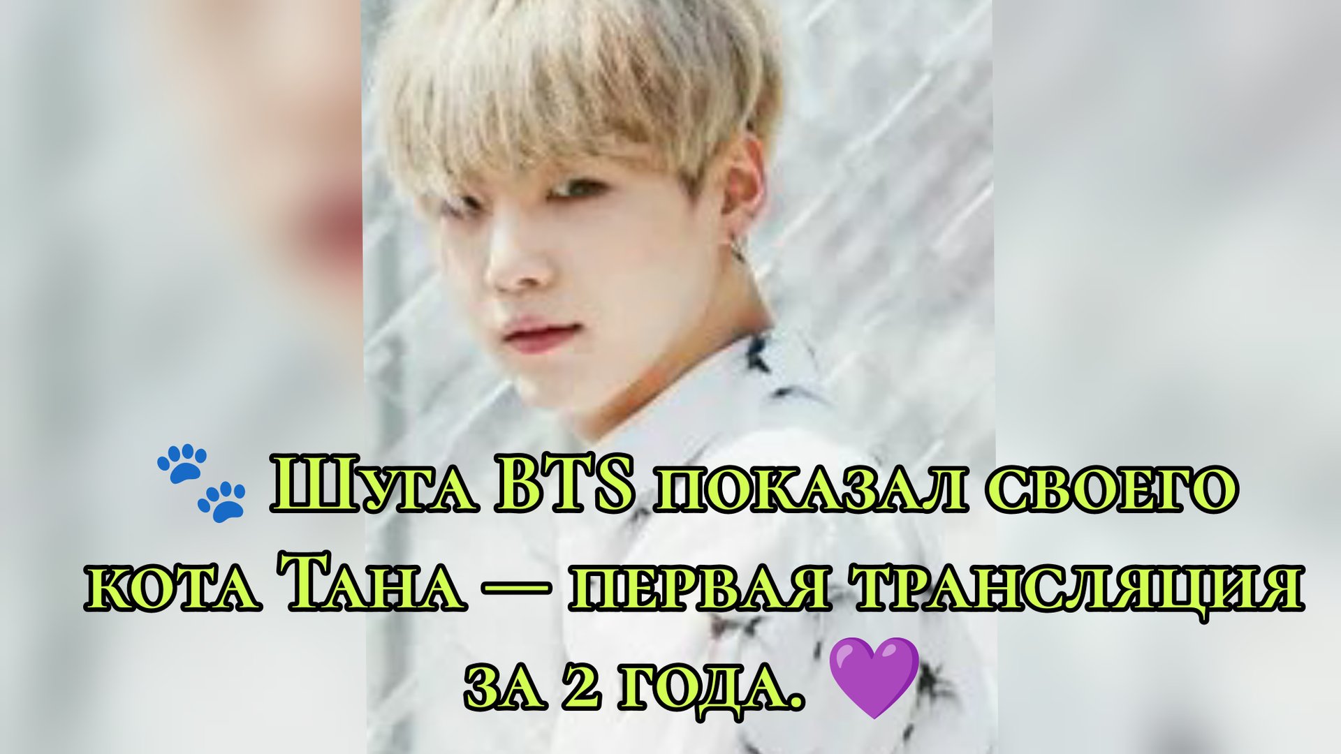 🐾 Шуга BTS показал своего кота Тана — первая трансляция за 2 года 💜 смотреть онлайн