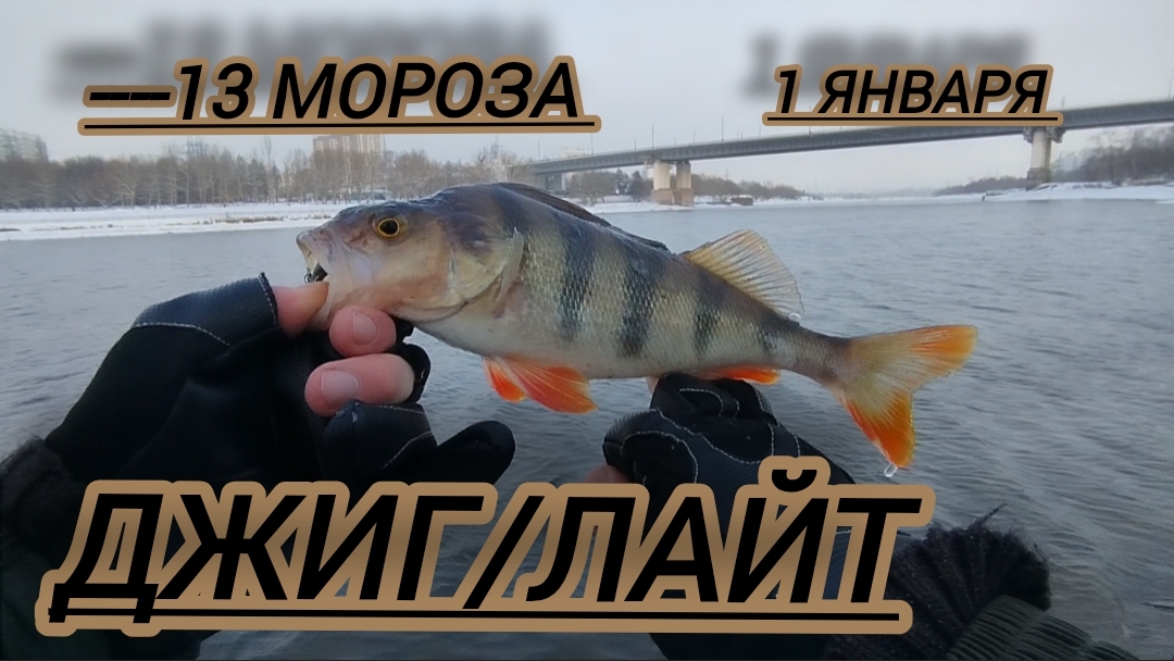ДЖИГ_СПИННИНГ -13 МОРОЗА РЫБАЛКА ЛОВЛЯ СУДАКА ОКУНЯ смотреть онлайн