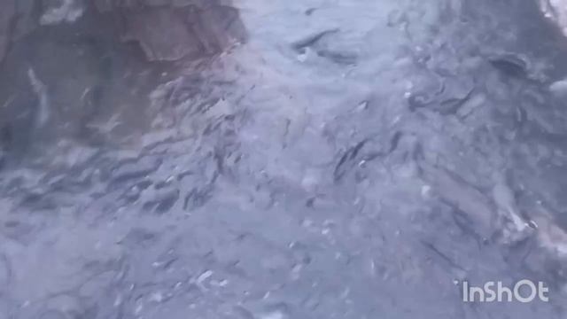 1000137175.mp4 смотреть онлайн