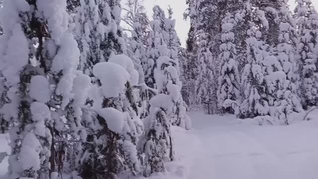 С Новым 2026 годом смотреть онлайн