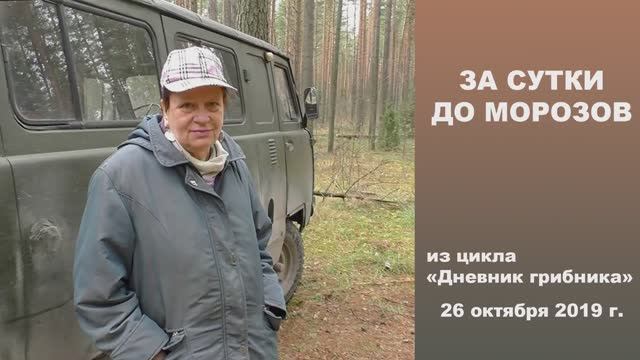 За сутки до морозов и снега! Дневник грибника 26 октября 2019 . смотреть онлайн
