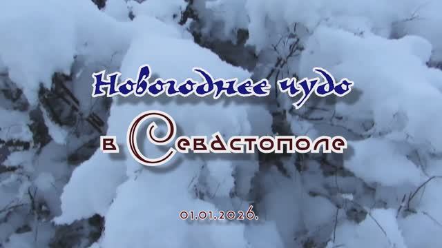 Новогоднее чудо в Севастополе... 01.01.2026 смотреть онлайн