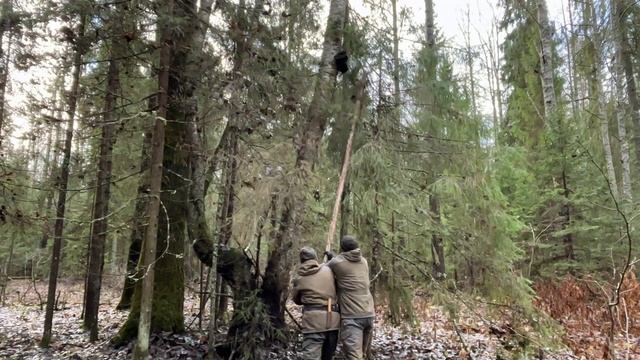 ИСПЫТАНИЯ НОВОЙ ТЕХНИКИ | РАЗВОЗИМ СОЛЬ ПО СОЛОНЦАМ