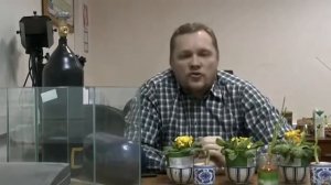 Вадим Ловчиков. Эксперимент с растениями