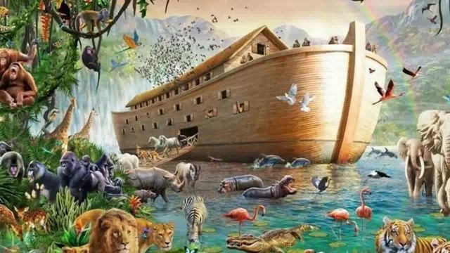 НОЙ~1, автор Вера Капустина смотреть онлайн