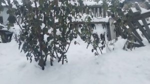 СЪЁМОК НЕ БУДЕТ 😔🌲 НОВЫЙ ГОД И НОВЫЙ ПРОЦЕСС 🧶