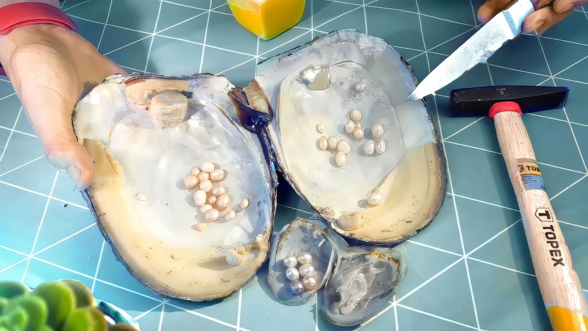 МЫ БОГАТЫ! НАШЛИ НАСТОЯЩИЕ ЖЕМЧУЖИНЫ В РАКУШКЕ С ALIEXPRESS! смотреть онлайн