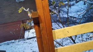 СОЧИ ГОРНОЕ ЛОО УТРО 01.01.2026