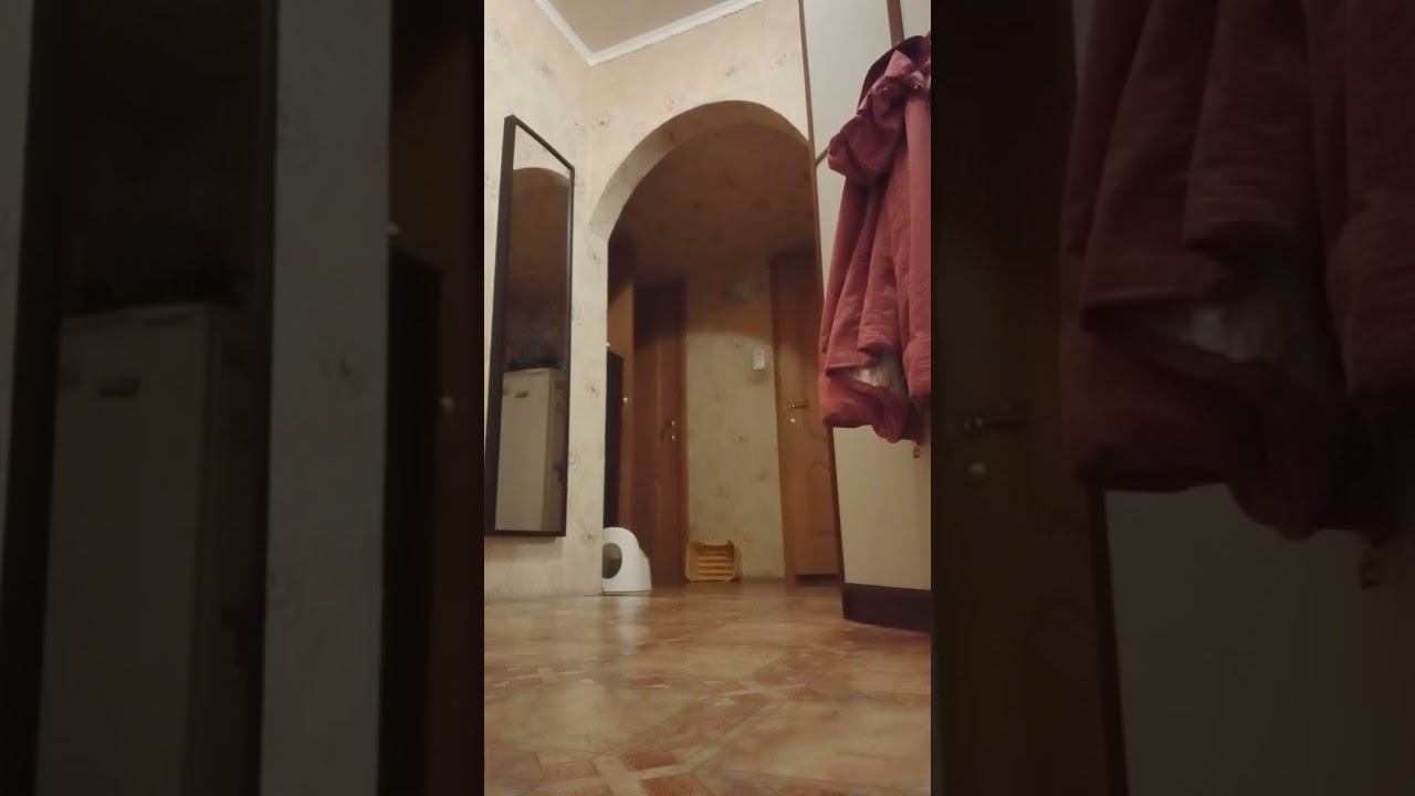 14 октября 2022 г. смотреть онлайн