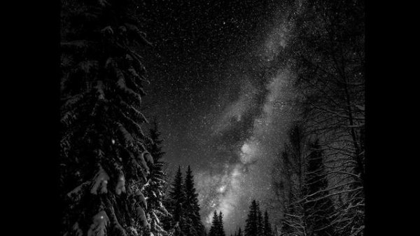 The Black Monk - Lost in Winter