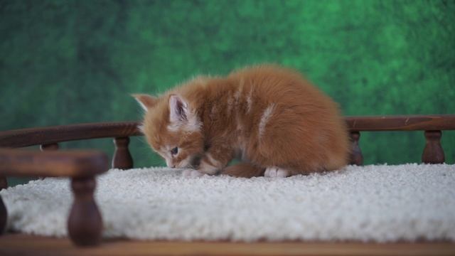 Zahar 1 месяц смотреть онлайн